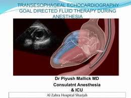 Transesophageal Echocardiography Goal
