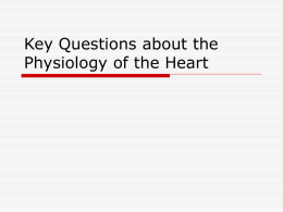 Key Questions about the Physiology of the Heart