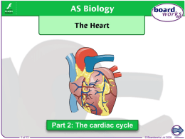 The Heart - csfcbiology