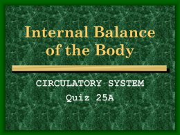Internal Balance of the Body