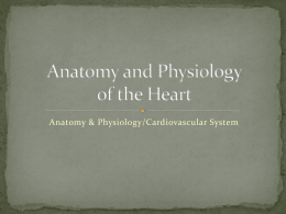 Anatomy and Physiology of the Heart