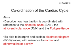 Co-ordination of the Cardiac Cycle