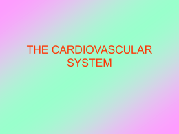 the cardiovascular system - Teachnet UK-home