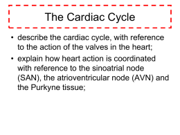 The Cardiac Cycle - Mrs Miller`s Blog