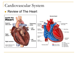 Lecture Note 1 - Review of The Heart