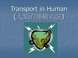 Transport in Human