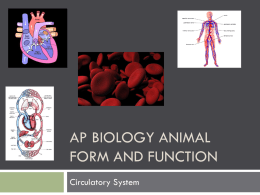 AP Biology Animal Form and Function Circulatory ppt.