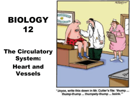 BIOLOGY 12 - Circulation Heart and Vessels