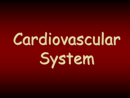 Adv Bio #10 - Cardiovascular