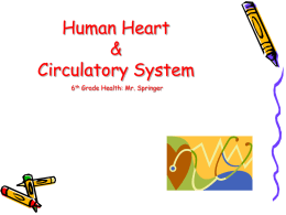 2010 Circulatory System