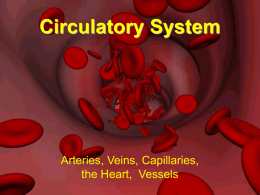Circulatory System_Teacher