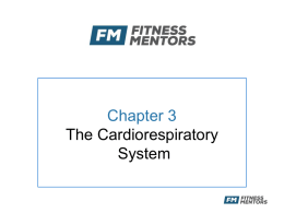 Chapter 3 - Fitness Mentors