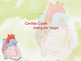 5. Setting the Tempo - hills