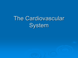 The Cardiovascular System - Bishop Allen Academy Health and