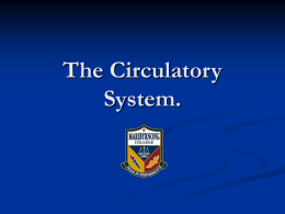 The Circulatory System. - PhysicalEducationatMSC