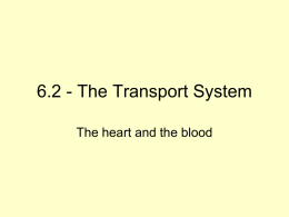 6.2 Transport