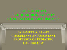 role of fetal echocardiography in congenital heart diseases