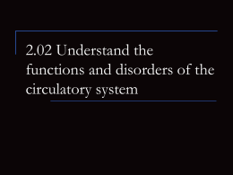 What are the functions of the circulatory system?