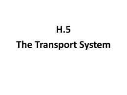 H.5 - HL transport-system