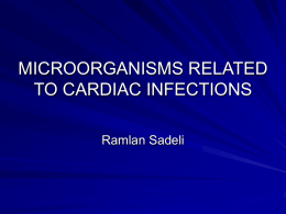 microorganisms related to cardiac infections