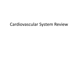 Cardiovascular System Review