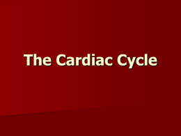The Cardiac Cycle Power Point