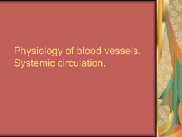 Physiology of blood vessels. Systemic circulation