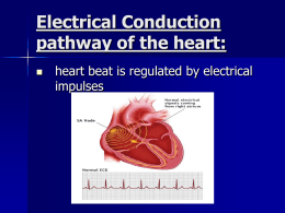 Electrical Conduction PPT