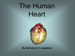 Heart Presentation