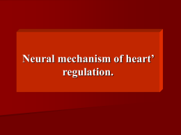 Lecture 20. Neural mechanism of heart` regulation