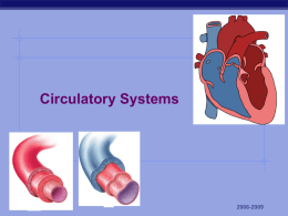 4. circulatory