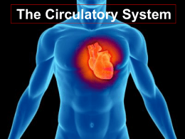 Circulatory Systemx