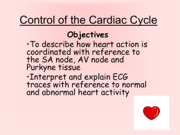 Control of the heartbeat
