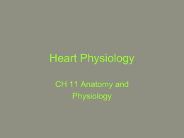 Heart Physiology