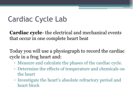 Cardiac Cycle Lab