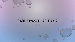 Chapter 11-day 2