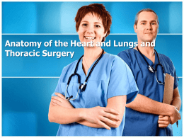 Anatomy of the Heart and Lungs and Thoracic Surgery Prior to Surgery