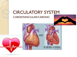 Circulatory System PP
