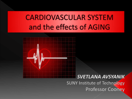 CARDIOVASCULAR SYSTEM and the effects of AGING