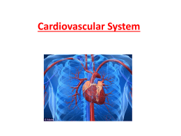 Cardiovascular Notes