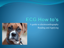 ECG How to`s - Cecchini Cuore