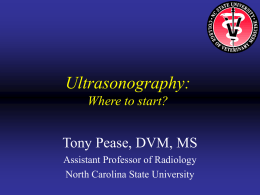 Ultrasound Lecture 1 - North Carolina State University