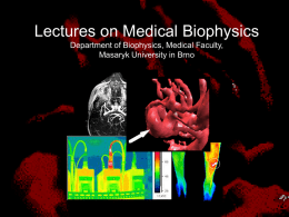 MRI. Thermography. - Masaryk University