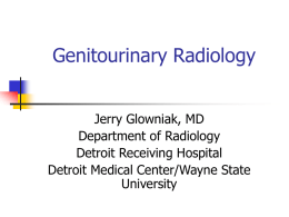 Radiologic Findings in Genitourinary Infections