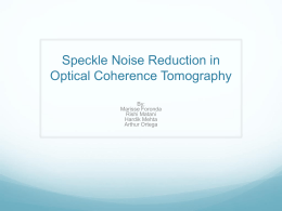 Speckle Noise Reduction in Optical Coherent Tomography