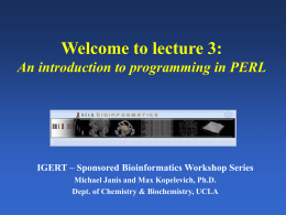 powerpoint slides (perl) - UCLA Chemistry and Biochemistry