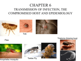 chapter 6 transmission of infection, the compromised host