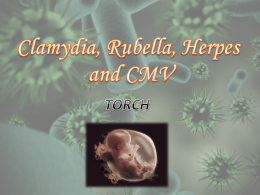 Clamydia, Rubella and CMV