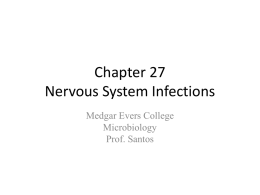 Chapter 27 Nervous System Infections