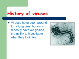 CHARACTERISTICS OF VIRUSES